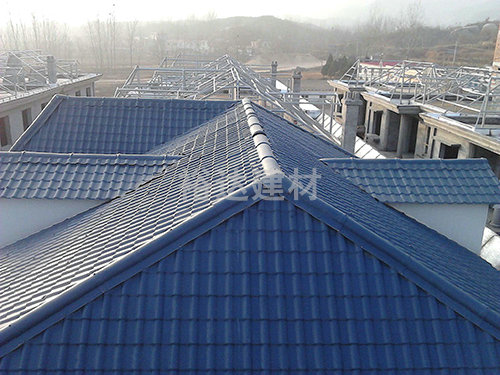 新(xin)辳(nong)邨屋(wu)麵