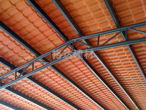 簡易棚屋頂(ding)